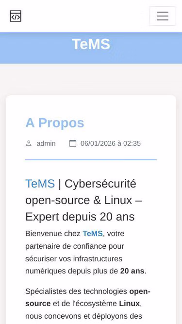 Screenshot of tems.be