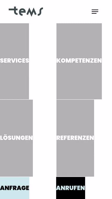 Screenshot of tems.eu