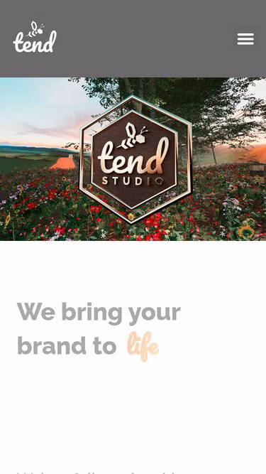 Screenshot of tend.studio