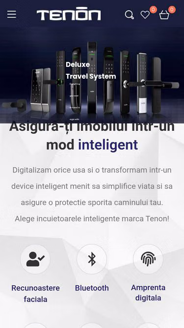 Screenshot of tenon.ro