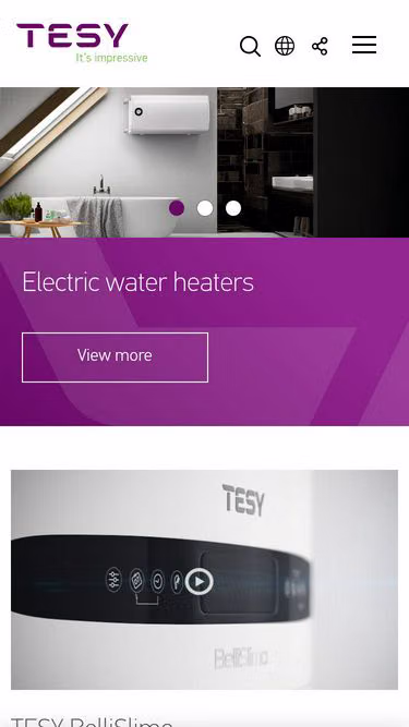 Screenshot of tesy.com.bd