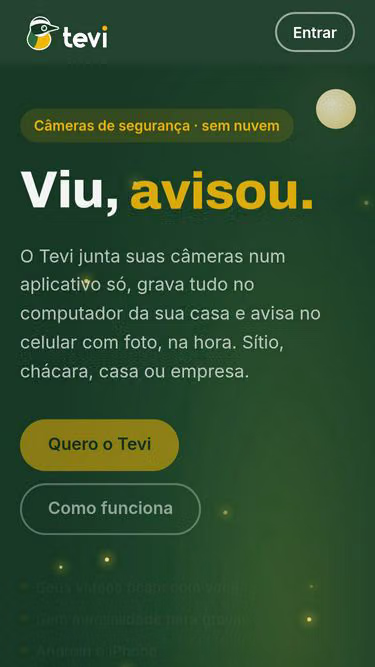 Screenshot of tevi.app.br