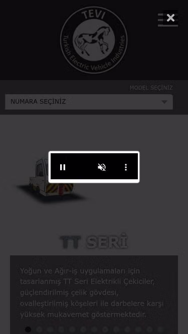 Screenshot of tevi.com.tr