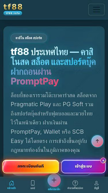 Screenshot of tf88.info