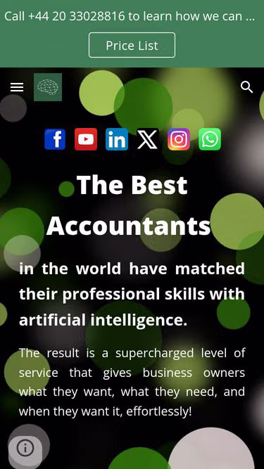 Screenshot of theai.accountant
