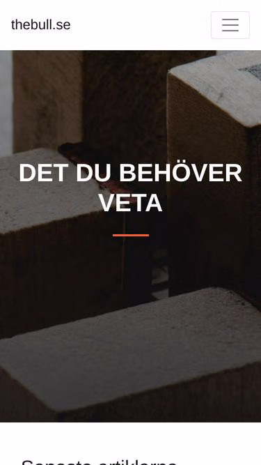 Screenshot of thebull.se