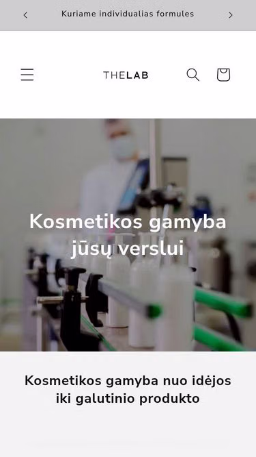Screenshot of thelab.lt