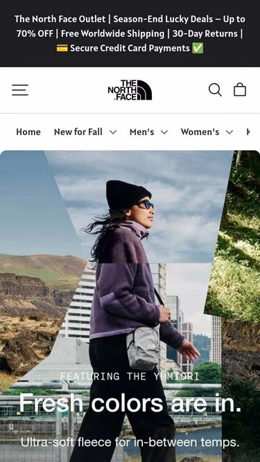 Screenshot of thenorthface.top