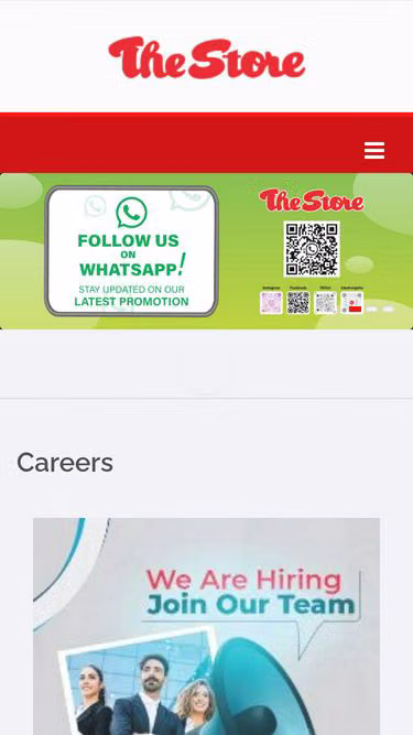Screenshot of thestore.com.my