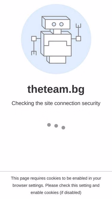 Screenshot of theteam.bg