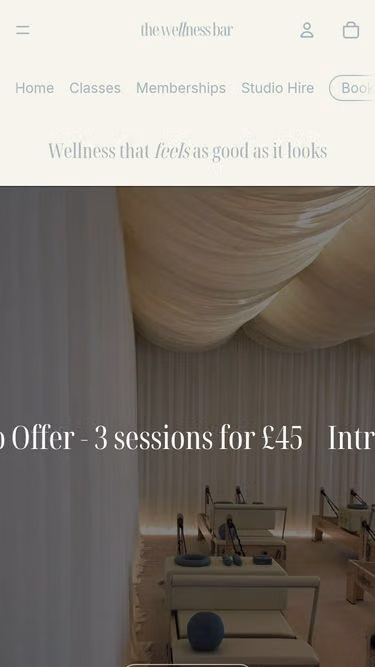 Screenshot of thewellness.bar