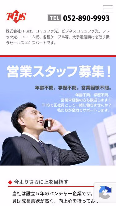 Screenshot of ths.company