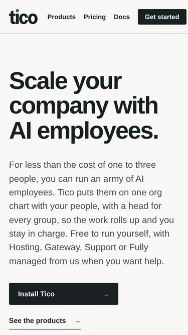 Screenshot of tico.dev