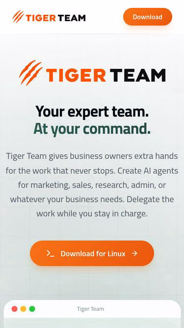 Screenshot of tiger.team