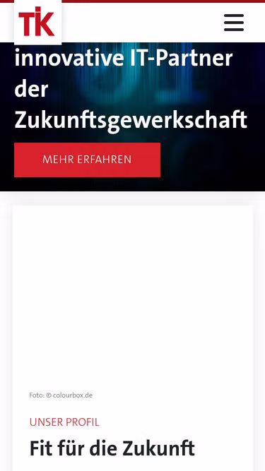Screenshot of tik.info