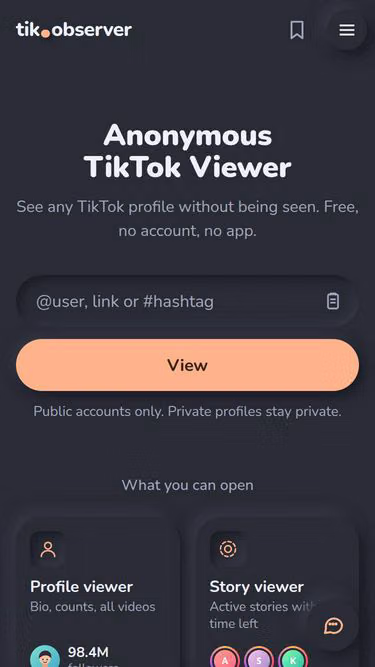 Screenshot of tik.observer
