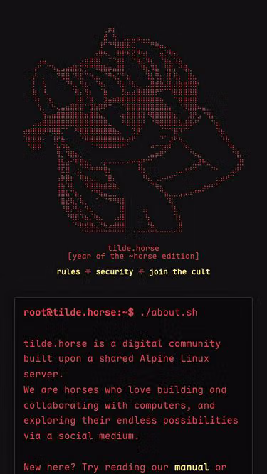Screenshot of tilde.horse