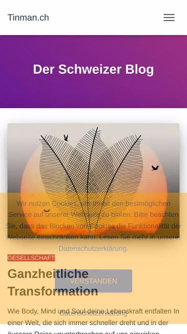 Screenshot of tinman.ch