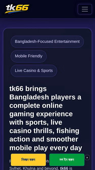 Screenshot of tk66.online