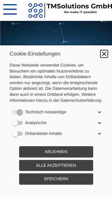 Screenshot of tmsolutions.ch