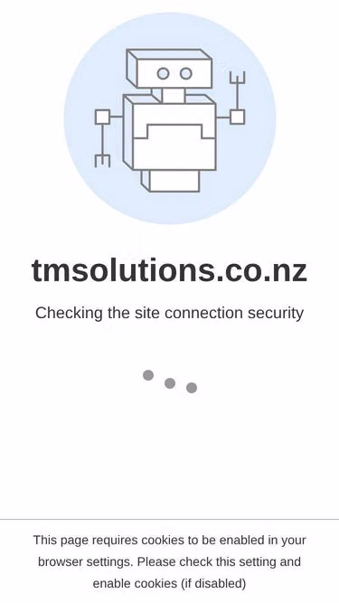 Screenshot of tmsolutions.co.nz