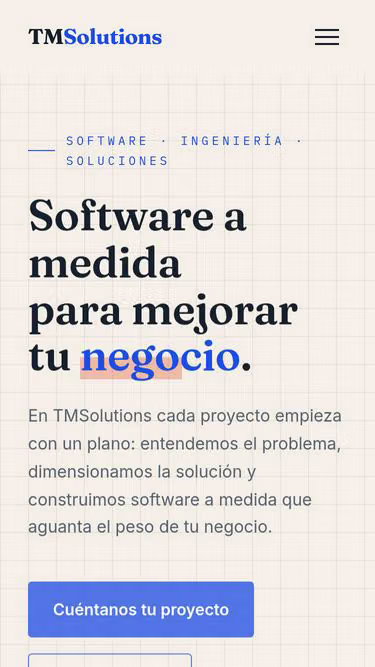 Screenshot of tmsolutions.es