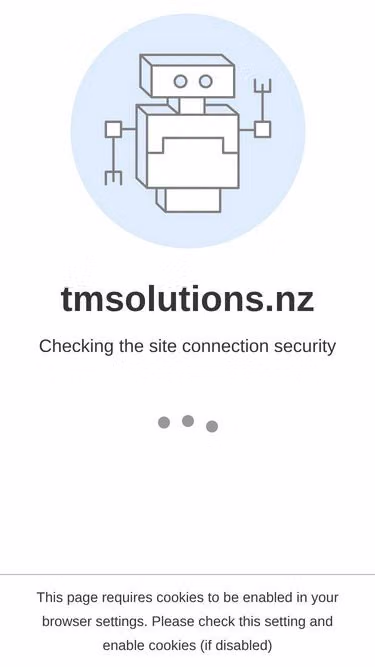 Screenshot of tmsolutions.nz