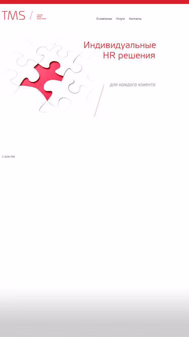 Screenshot of tmsolutions.su