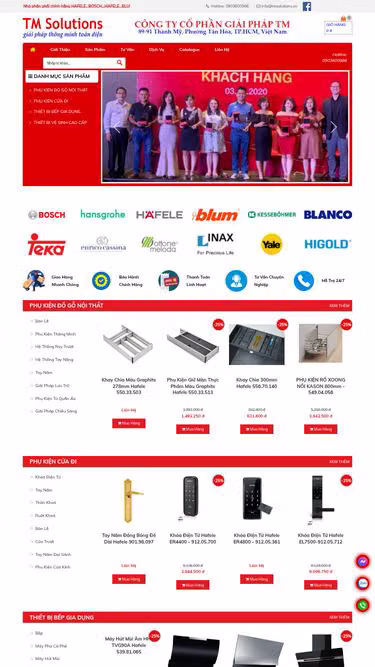 Screenshot of tmsolutions.vn