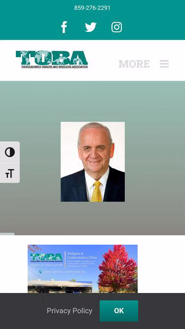 Screenshot of toba.org