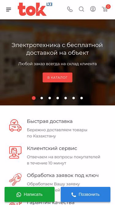 Screenshot of tok.kz