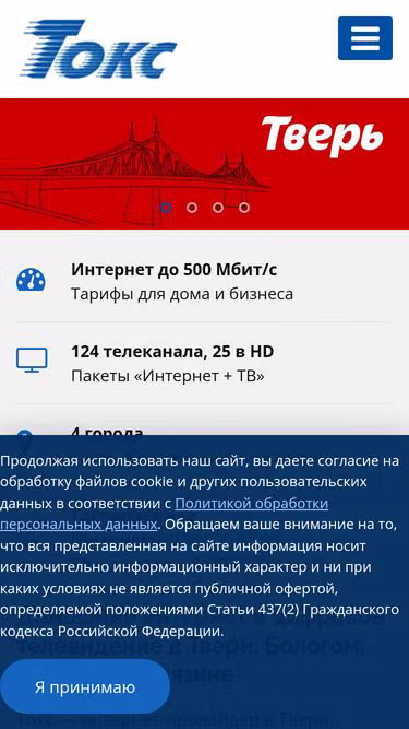 Screenshot of toks.tv