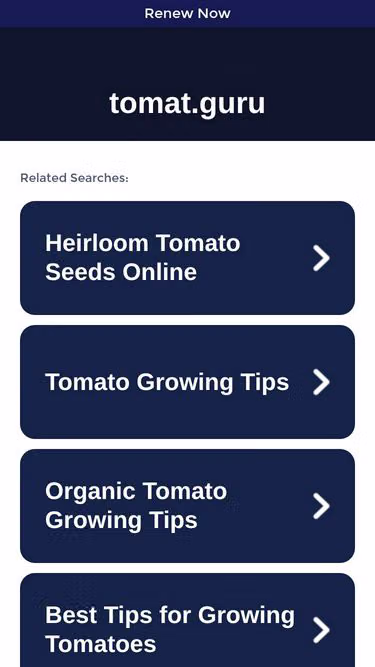 Screenshot of tomat.guru
