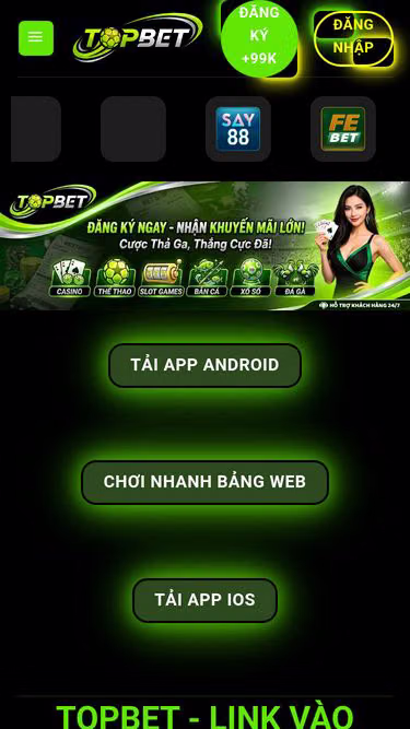 Screenshot of topbet.house