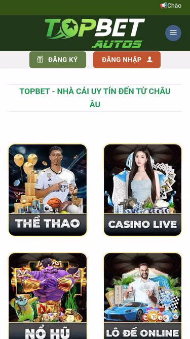 Screenshot of topbet.rest