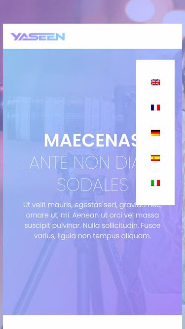 Screenshot of topcinema.it