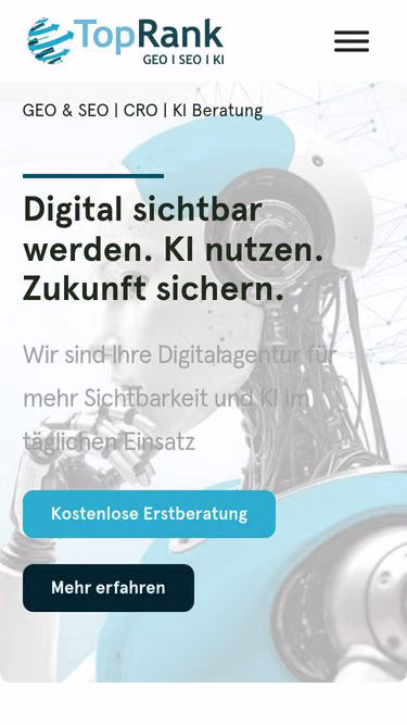Screenshot of toprank.at