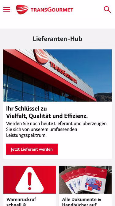 Screenshot of topteam.at