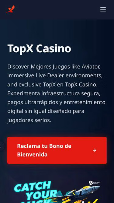 Screenshot of topx.vip