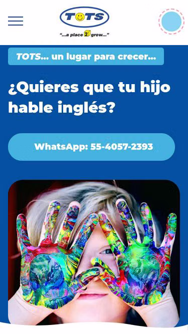 Screenshot of tots.com.mx