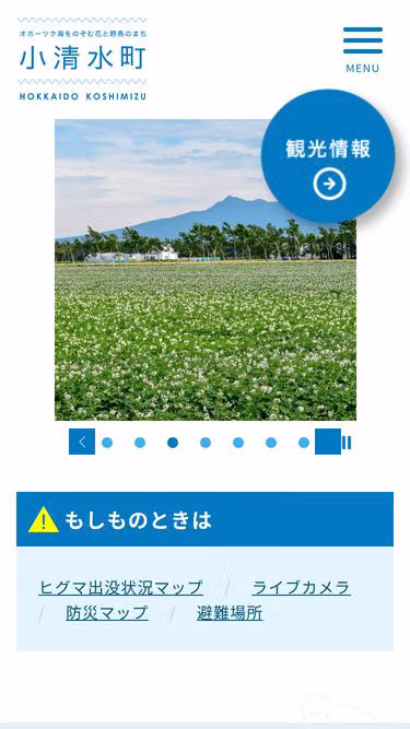 Screenshot of town.koshimizu.hokkaido.jp