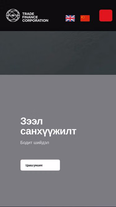 Screenshot of tradefinance.mn