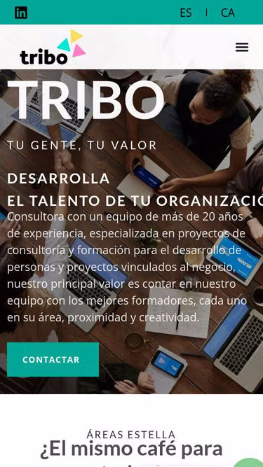 Screenshot of tribo.es
