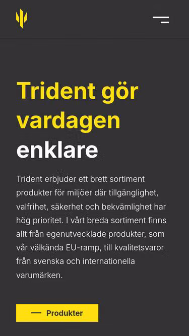 Screenshot of trident.se