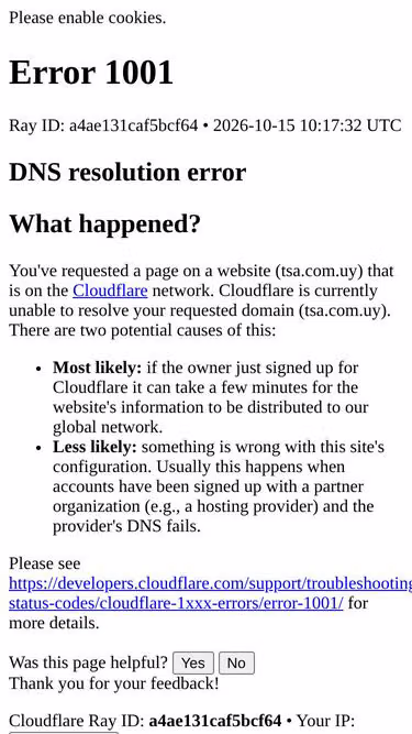 Screenshot of tsa.com.uy