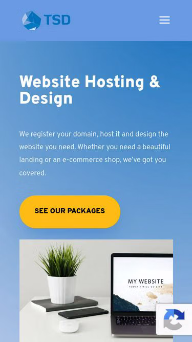 Screenshot of tsd.co.za