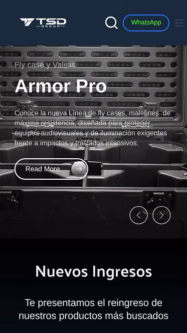 Screenshot of tsd.com.ar