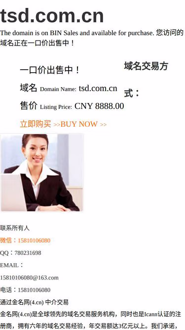 Screenshot of tsd.com.cn