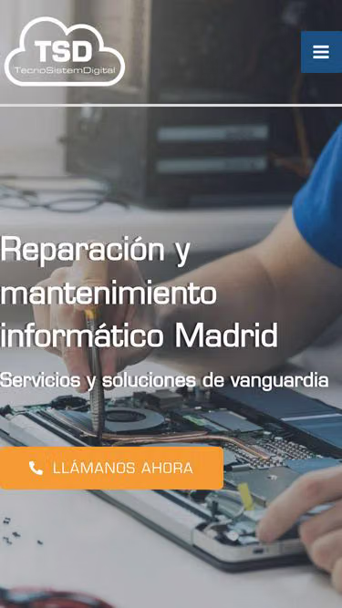 Screenshot of tsd.com.es