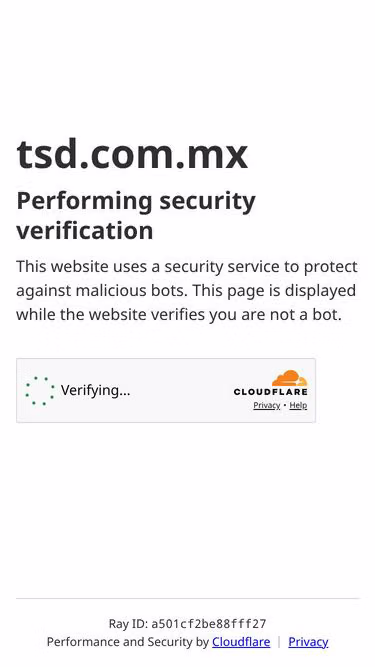 Screenshot of tsd.com.mx